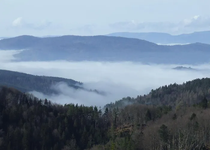 Apartman Way2jaworzyna Krynica Zdrój